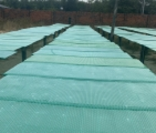 BÁNH TRÁNG PHƠI SƯƠNG