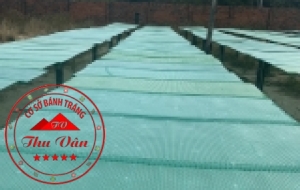 BÁNH TRÁNG PHƠI SƯƠNG